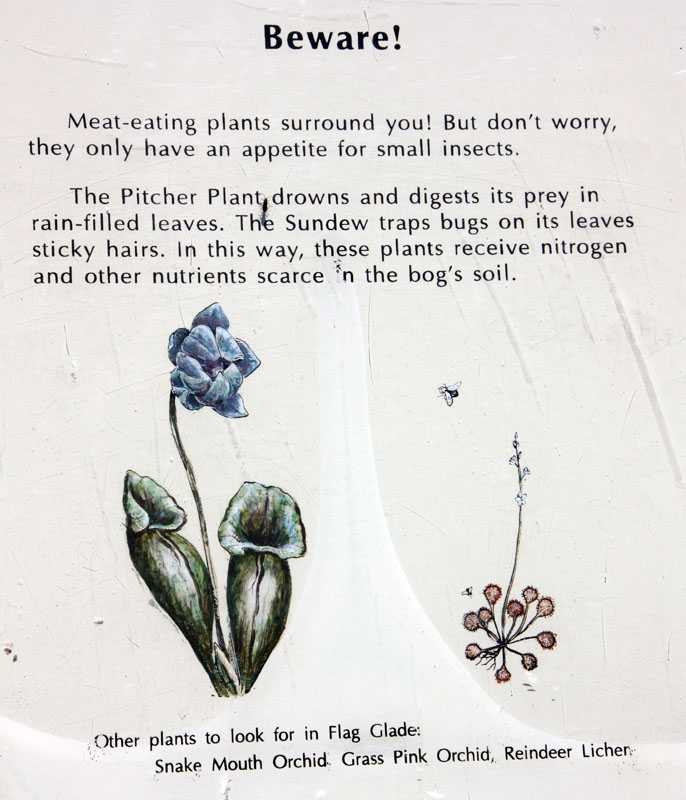 June 2008 Trip To Cranberry Glades, West Virginia