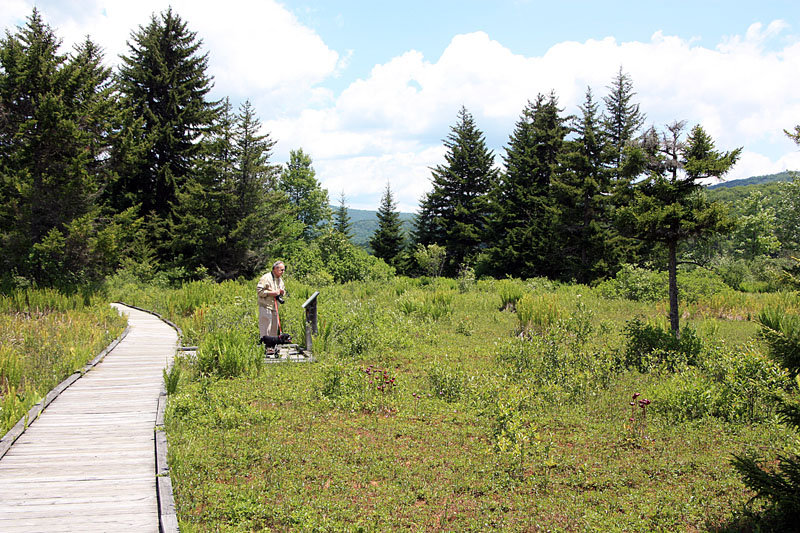 June 2008 Trip To Cranberry Glades, West Virginia