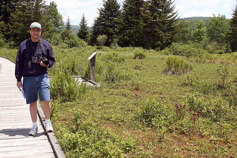 June 2008 Trip To Cranberry Glades, West Virginia