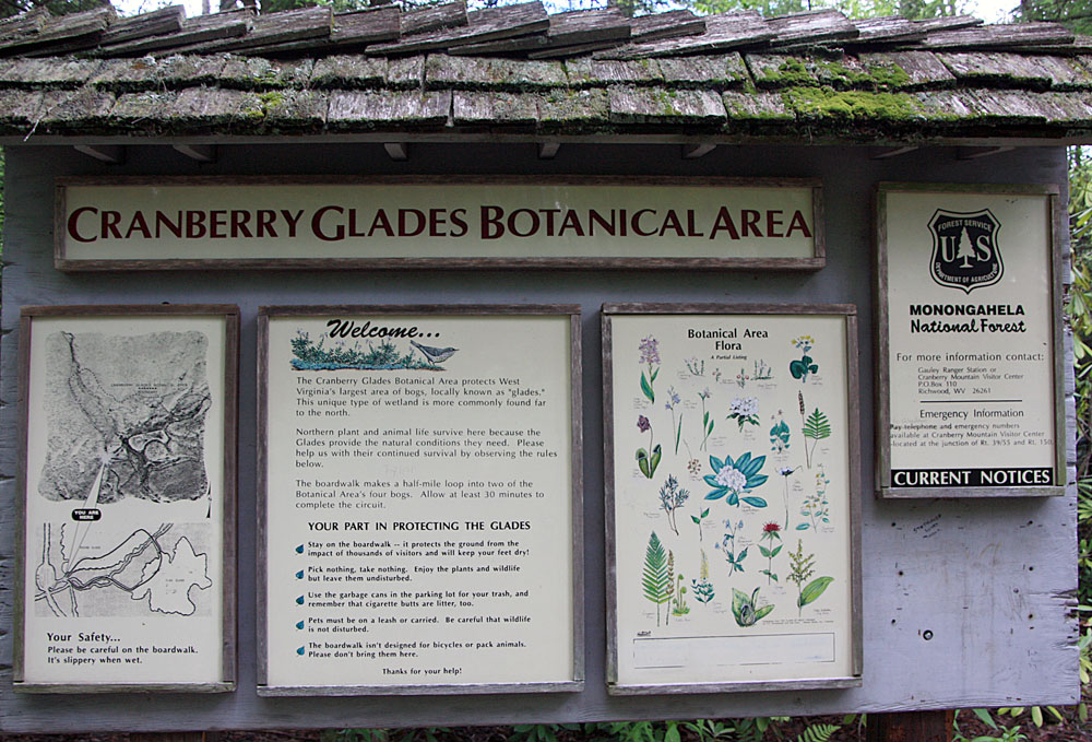 June 2008 Trip To Cranberry Glades, West Virginia